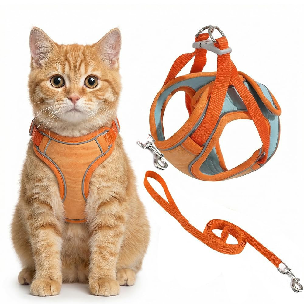 Cat wearing an orange harness and leash on a white background Pawsifypets 
