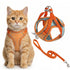 Cat wearing an orange harness and leash on a white background Pawsifypets 