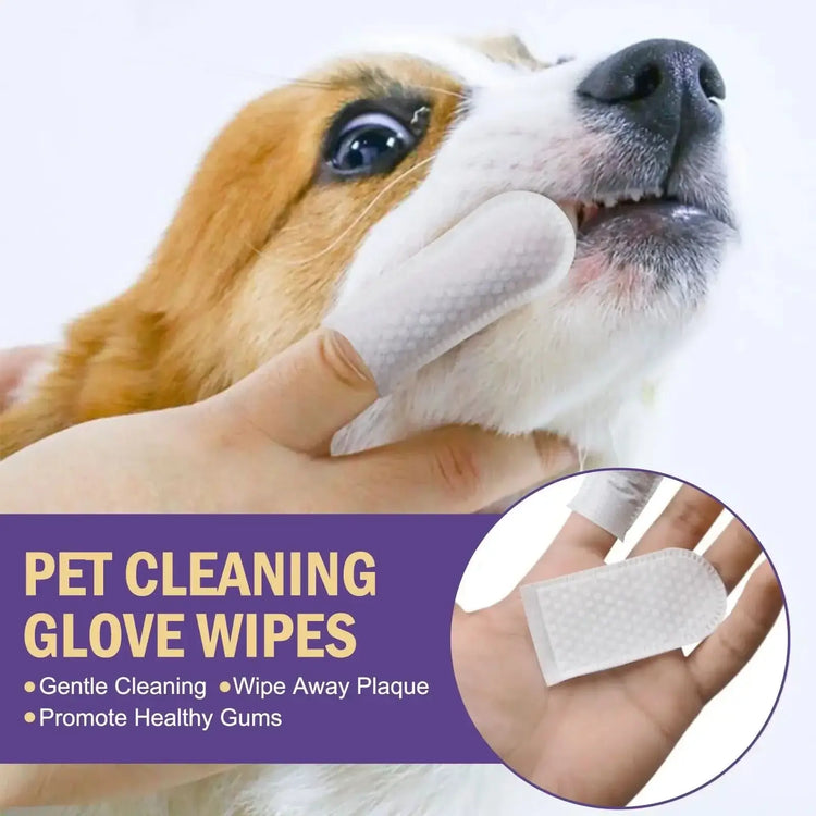 Pet Dental Wipes Lemon Flavor Finger Tooth Wipes for Dogs and Cats - PawsiFypets Pet Dental Care - 50pcs PawsiFypets