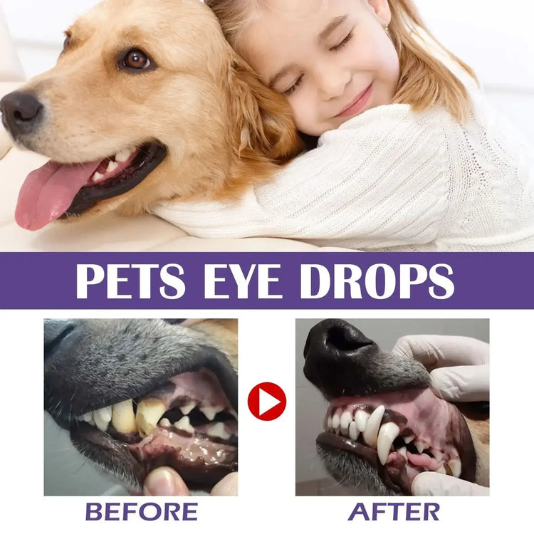 Pet Dental Wipes Lemon Flavor Finger Tooth Wipes for Dogs and Cats - PawsiFypets Pet Dental Care - 50pcs PawsiFypets