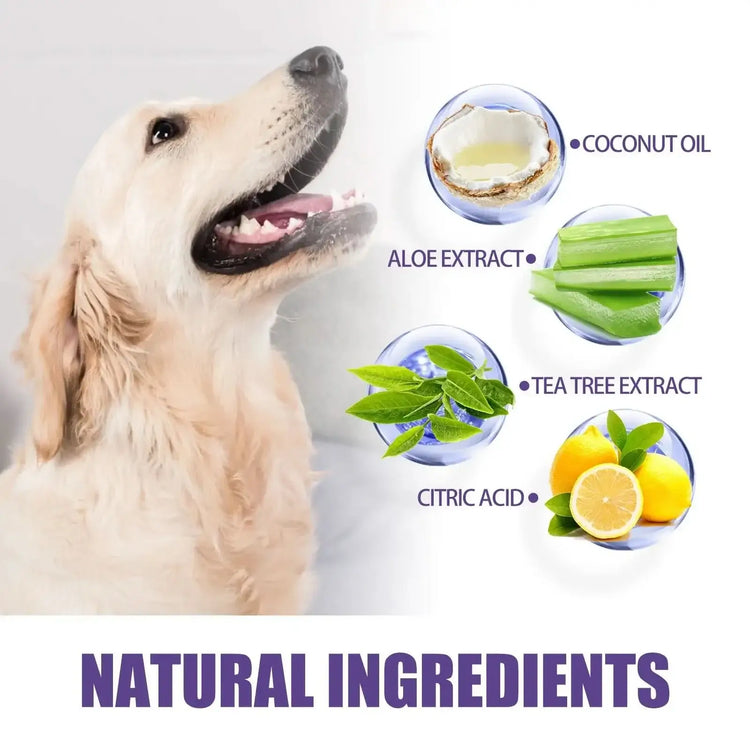 Pet Dental Wipes Lemon Flavor Finger Tooth Wipes for Dogs and Cats - PawsiFypets Pet Dental Care - 50pcs PawsiFypets