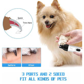 Dog being groomed with a grooming tool, showing before and after effects.