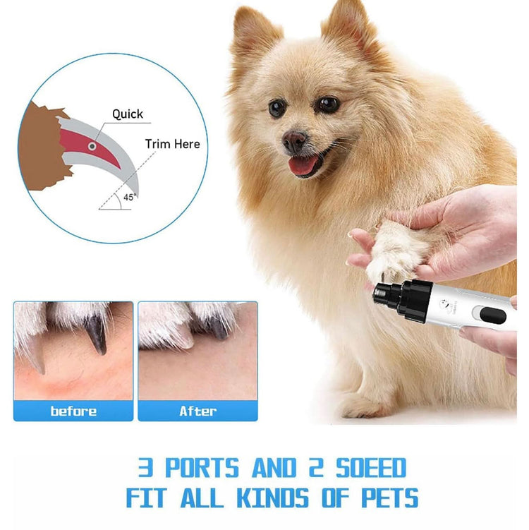 Dog being groomed with a grooming tool, showing before and after effects.