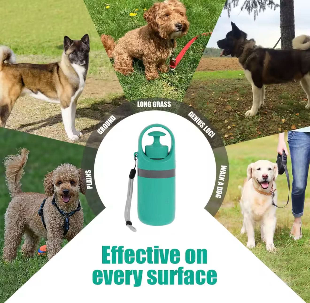 Collage of dogs in various outdoor settings with a green water bottle and leash.