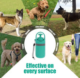 Collage of dogs in various outdoor settings with a green water bottle and leash.