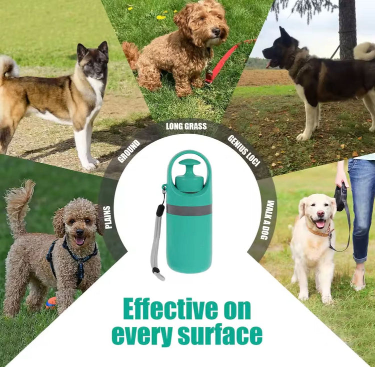 Collage of dogs in various outdoor settings with a green water bottle and leash.