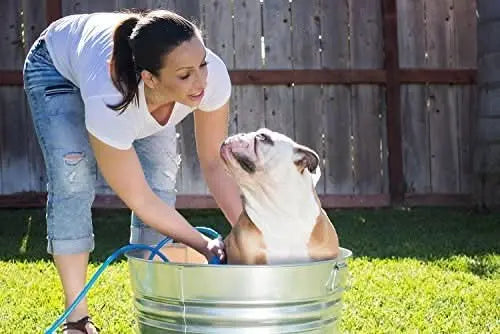 Pet Shower Sponge - PawsiFypets - Blue My Store