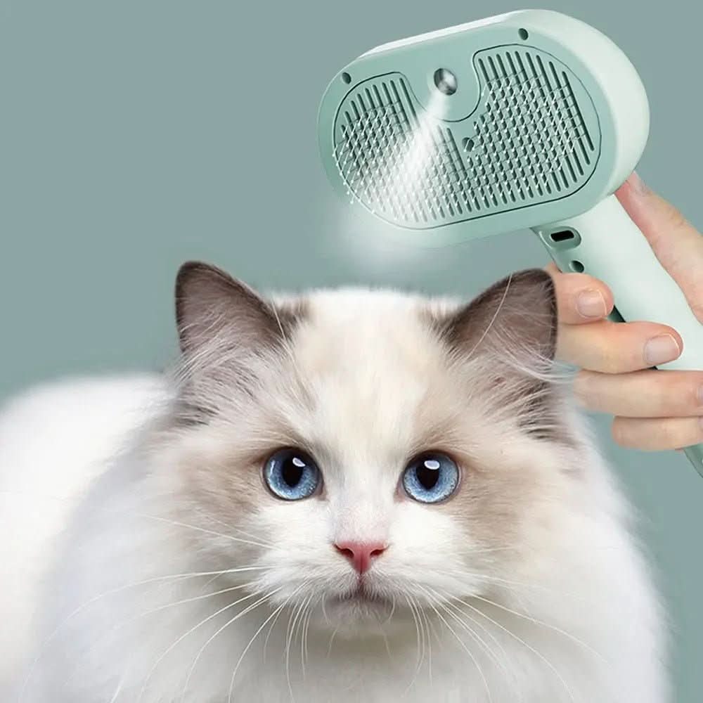 Pet Steam Brush with Water Mist Spray - PawsiFypets Pets Care - Green PawsiFypets
