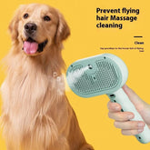 Pet Steam Brush with Water Mist Spray - PawsiFypets Pets Care - Green PawsiFypets