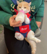 Cat in a backpack with &