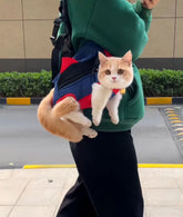 Cat in a backpack held by a person on a sidewalk