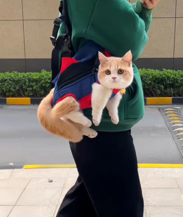 Cat in a backpack held by a person on a sidewalk