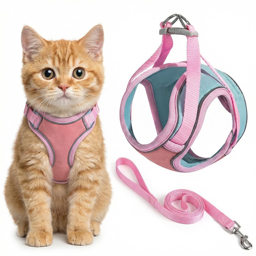 Cat wearing a pink harness with a matching leash on a white background Pawsifypets 