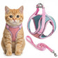 Cat wearing a pink harness with a matching leash on a white background Pawsifypets 
