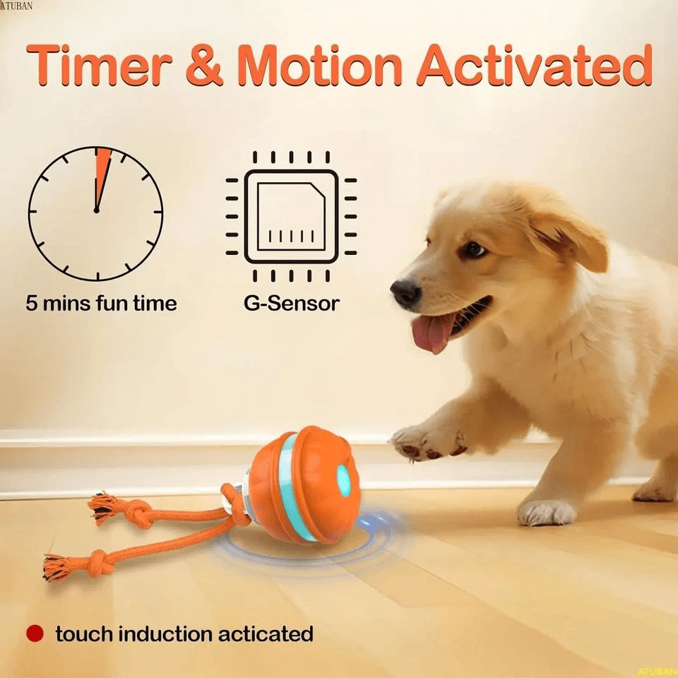 Premium Smart Interactive Pet Ball - PawsiFypets - Blue PawsiFypets