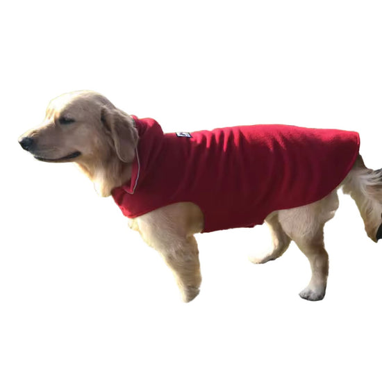 Dog wearing a red coat standing on grass
