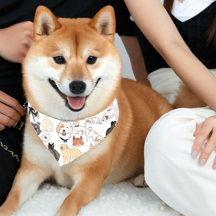 Reversible Pet Bandana - Over-the-Collar Dog Bandana for Stylish Pups - PawsiFypets Pet Fashion Accessories - Picture color / L PawsiFypets