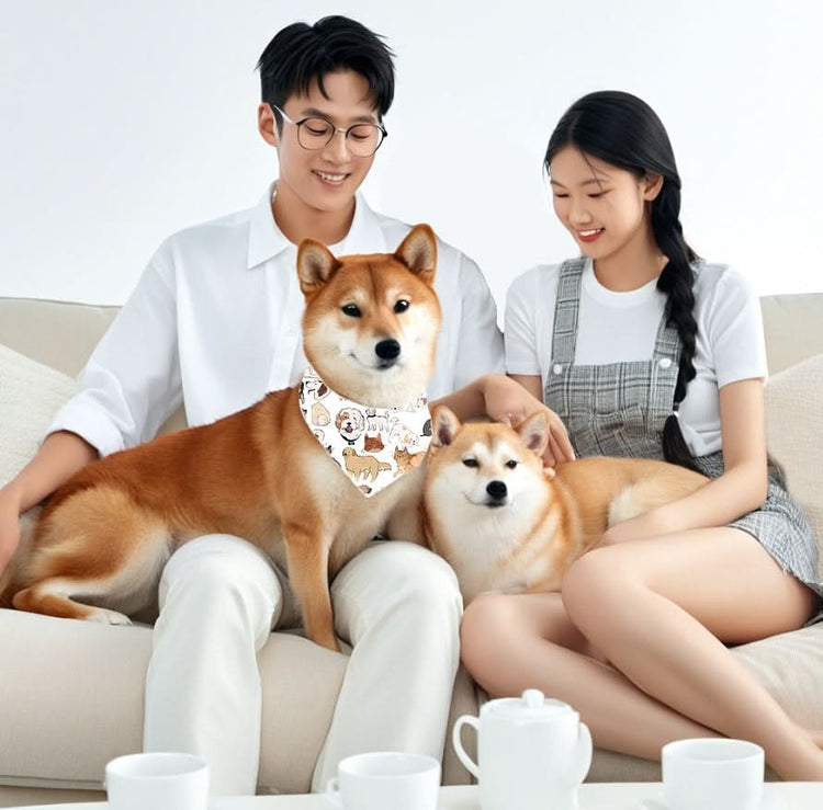 Reversible Pet Bandana - Over-the-Collar Dog Bandana for Stylish Pups - PawsiFypets Pet Fashion Accessories - Picture color / L PawsiFypets