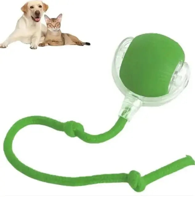 Rope Smart Pet Rolling Ball Toy - PawsiFypets Pet Toys - Green PawsiFypets