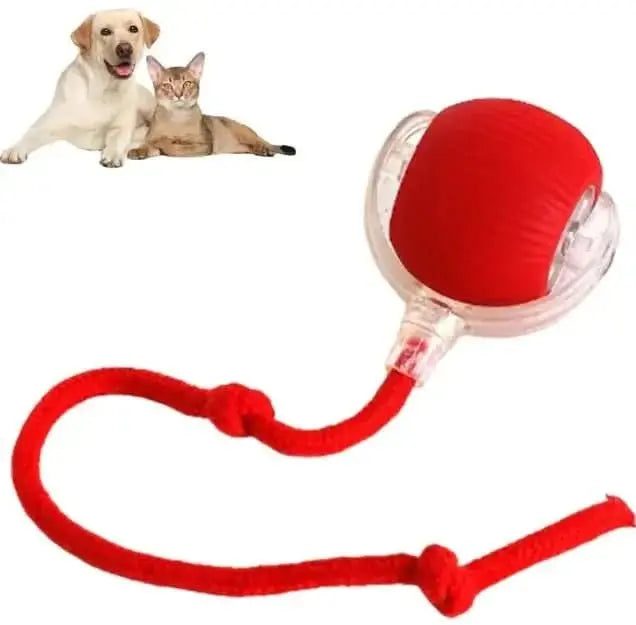 Rope Smart Pet Rolling Ball Toy - PawsiFypets Pet Toys - Red PawsiFypets
