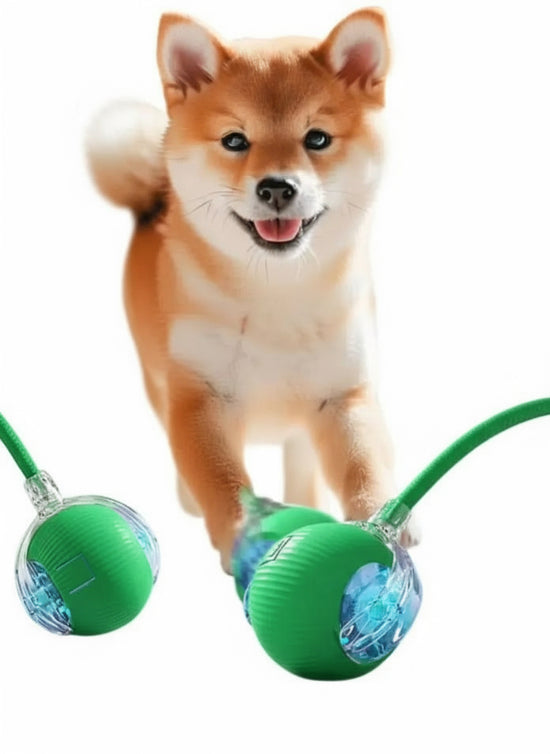 Rope Smart Pet Rolling Ball Toy - PawsiFypets Pet Toys - Gray PawsiFypets