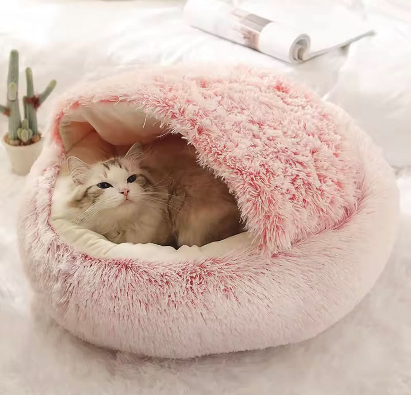Cat lying in a fluffy pink pet bed on a light background