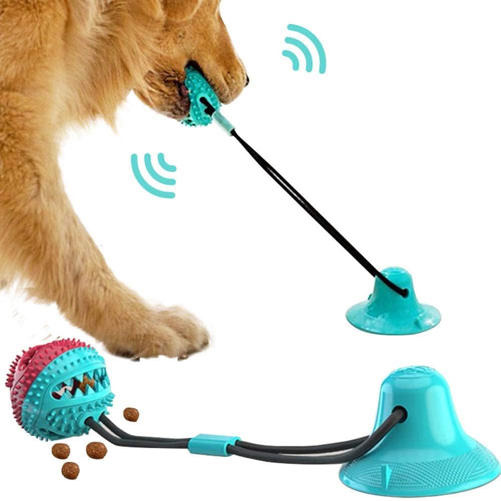 Silicon Suction Cup Interactive Dog Toy - PawsiFypets Pet Toys - blue-red ball PawsiFypets