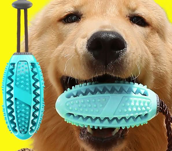 Silicon Suction Cup Interactive Dog Toy - PawsiFypets Pet Toys - blue chew PawsiFypets