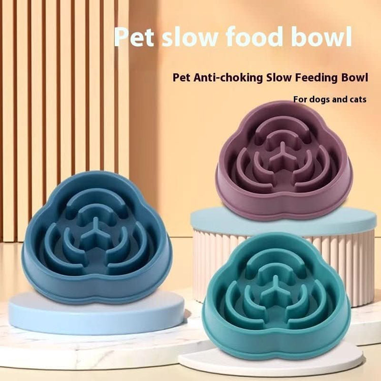 Slow Feeder Dog Bowl - PawsiFypets Pets Care - Conventional / 01 Style Blue PawsiFypets