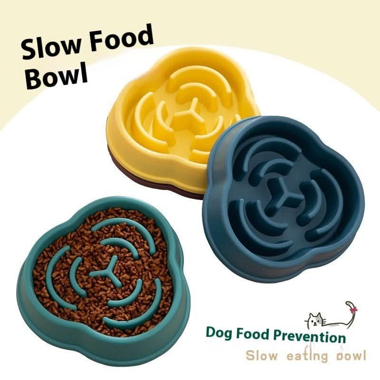 Slow Feeder Dog Bowl - PawsiFypets Pets Care - Conventional / 01 Style Blue PawsiFypets