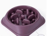 Slow Feeder Dog Bowl - PawsiFypets Pets Care - Conventional / 02 Style Purple PawsiFypets