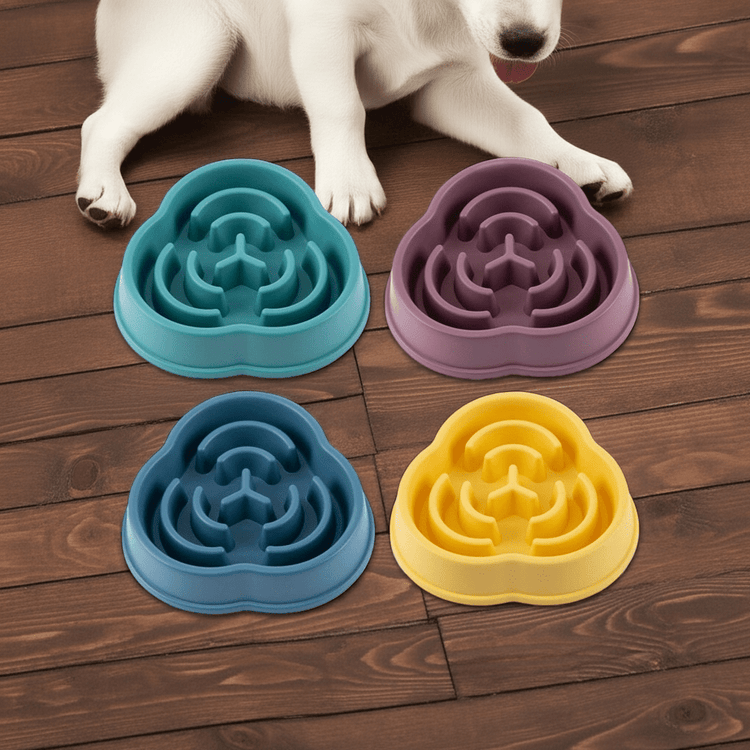Slow Feeder Dog Bowl - PawsiFypets Pets Care - Conventional / 01 Style Blue PawsiFypets