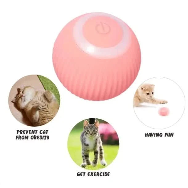 Smart Electric Pet Rolling Ball - PawsiFypets - Pink PawsiFypets