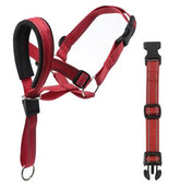 Training Head Collar & Leash - PawsiFypets Dog Training - Red / S PawsiFypets