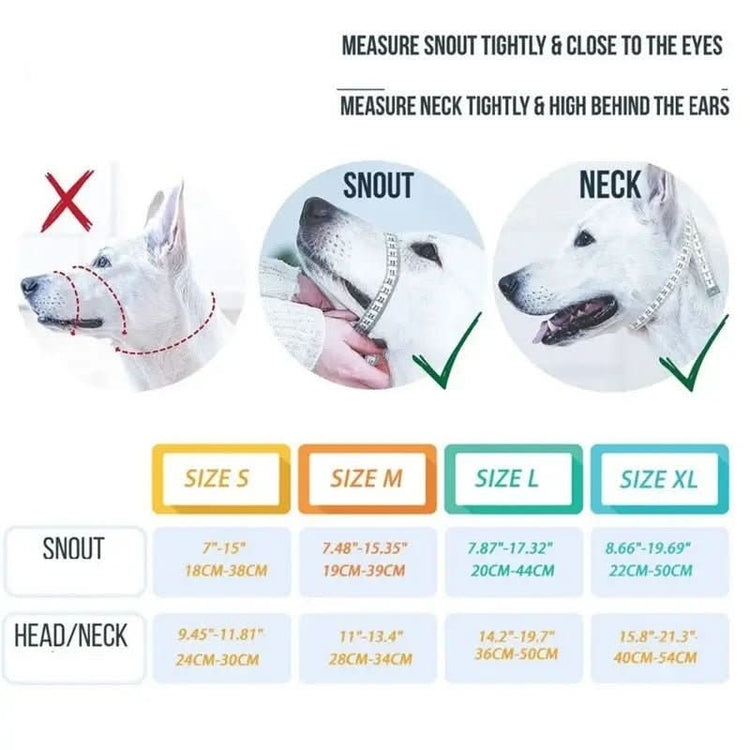 Training Head Collar & Leash - PawsiFypets Dog Training - Red / S PawsiFypets