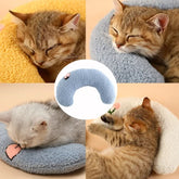 Collage of cats sleeping on various soft, cushion-like products.