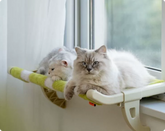 Universal Cat Hammock - Hanging Window & Bedside Cat Bed - PawsiFypets