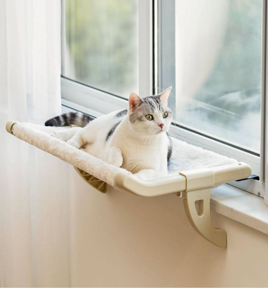 Universal Cat Hammock - Hanging Window & Bedside Cat Bed - PawsiFypets
