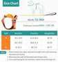 Adjustable Dog Leash & Vest Harness - Chest and Back Support for Medium & Large Dogs - PawsiFypets