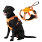 Adjustable Dog Leash & Vest Harness - Chest and Back Support for Medium & Large Dogs - PawsiFypets