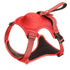 Adjustable Dog Leash & Vest Harness - Chest and Back Support for Medium & Large Dogs - PawsiFypets