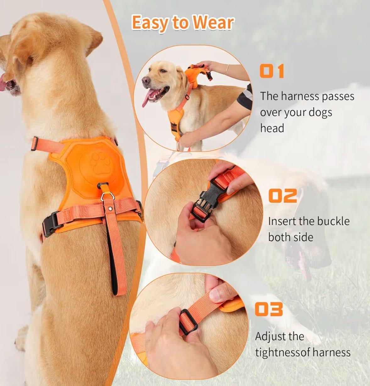 Adjustable Dog Leash & Vest Harness - Chest and Back Support for Medium & Large Dogs - PawsiFypets