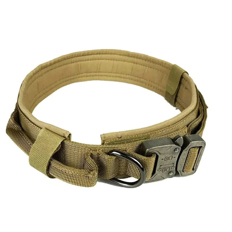 Adjustable durable tan dog collar with metal buckle and reinforced stitching