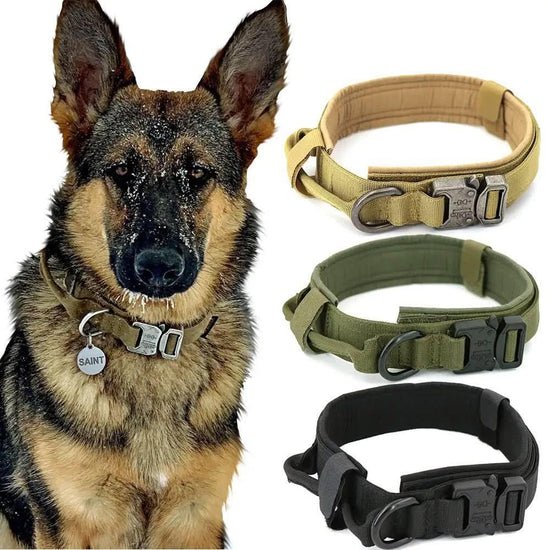 German shepherd wearing an adjustable dog collar with three durable nylon collars in tan, green, and black displayed.