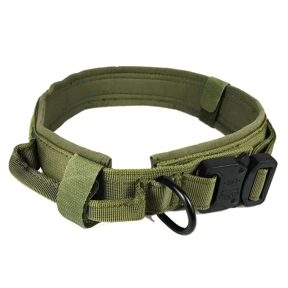 Adjustable green durable dog collar with sturdy buckle and metal D-ring