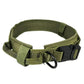 Adjustable green durable dog collar with sturdy buckle and metal D-ring