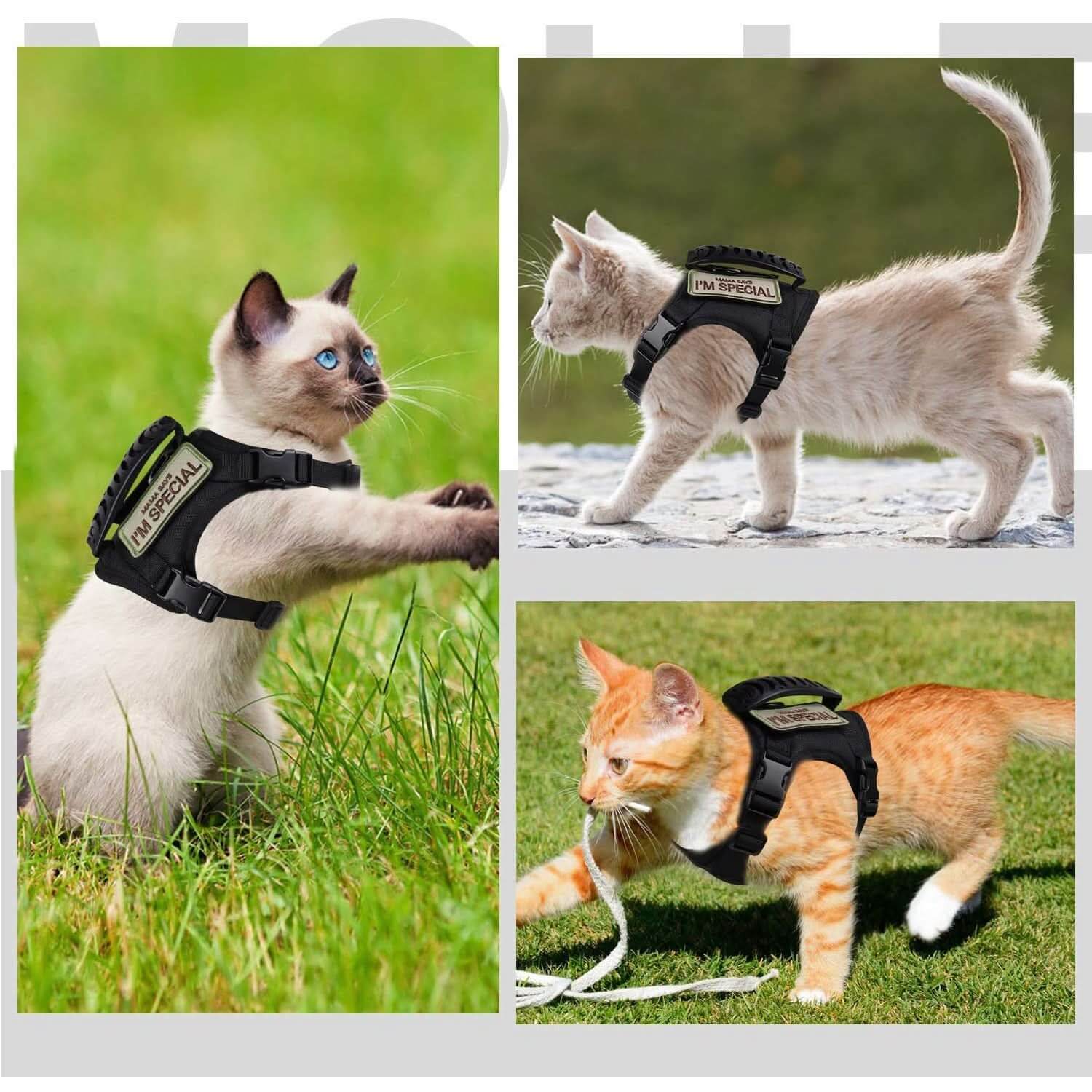 Cat Walking Harness with Secure Chest Strap - Escape-Proof Pet Harness - PawsiFypets Pet traveling Essential - Black PawsiFypets