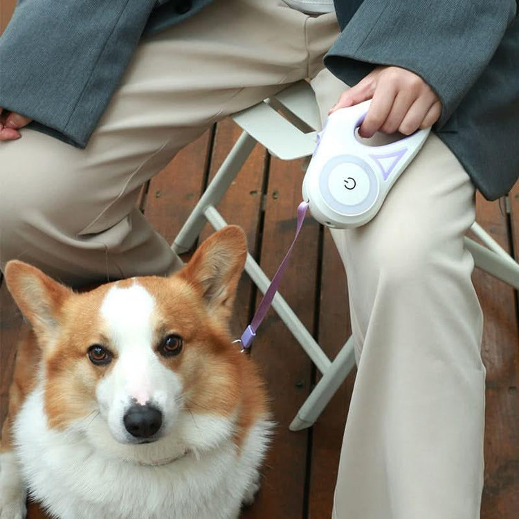 Automatic Retractable Dog Leash with LED Light - PawsiFypets