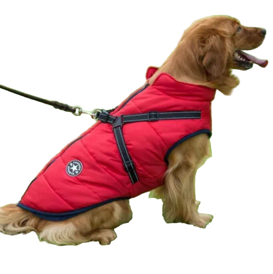 Autumn Winter Pet Clothing – Cozy & Stylish Outfits for Pets - PawsiFypets