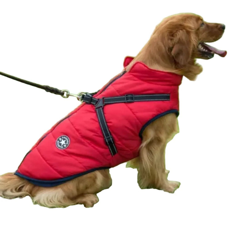 Autumn Winter Pet Clothing – Cozy Warm Outfits for Dogs & Cats - PawsiFypets
